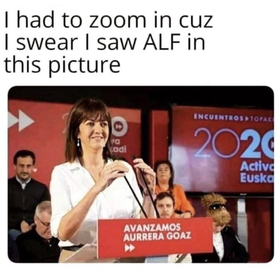 dank - memes -  had to zoom in alf - I had to zoom in cuz I swear I saw Alf in this picture Encuentros Totas 2020 kadi Activa Euska Avanzamos Aurrera Goaz