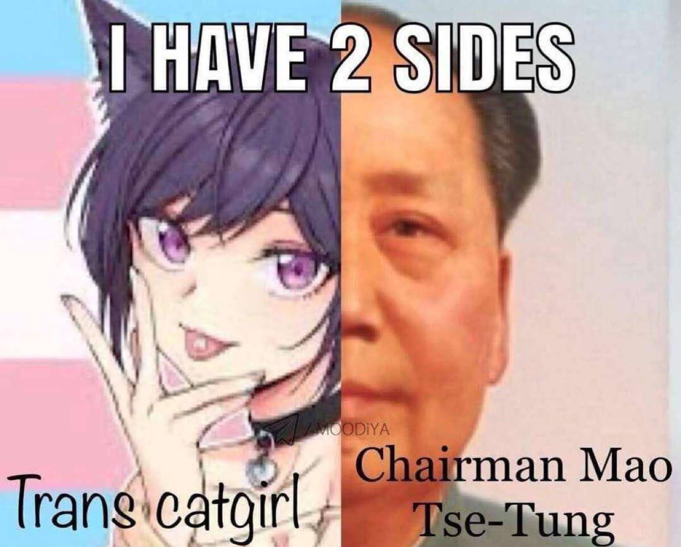 sex-memes - tiananmen - I Have 2 Sides Vamoodiya Trans catgirl Chairman Mao TseTung