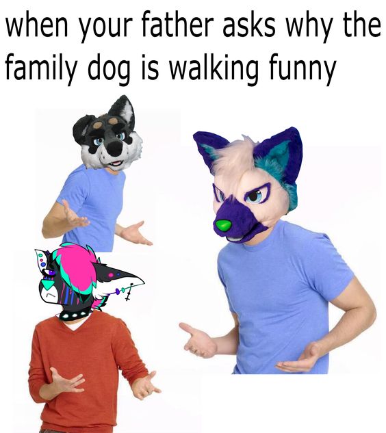 furry memes - when your father asks why the family dog is walking funny