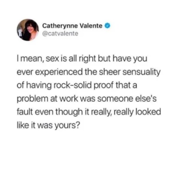 work memes - diagram - Catherynne Valente I mean, sex is all right but have you ever experienced the sheer sensuality of having rocksolid proof that a problem at work was someone else's fault even though it really, really looked it was yours?