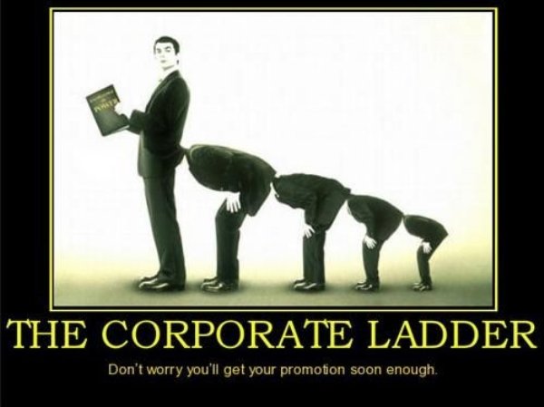 work memes - spineless people - The Corporate Ladder Don't worry you'll get your promotion soon enough.
