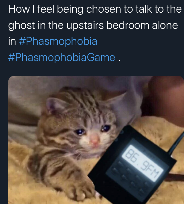 Phasmophobia Memes - never want to wake up again meme - How I feel being chosen to talk to the ghost in the upstairs bedroom alone in Game . 86.9FM