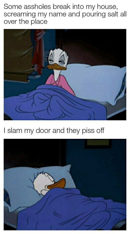 Phasmophobia Memes - donald duck sleep meme - Some assholes break into my house, screaming my name and pouring salt all over the place | slam my door and they piss off