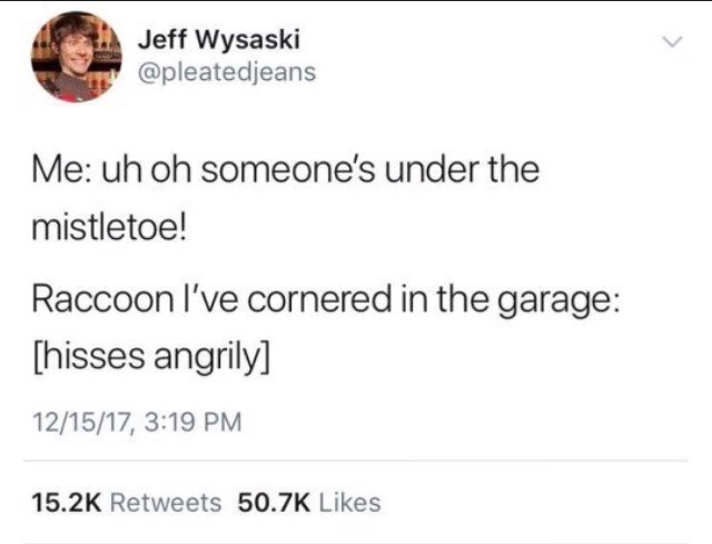 funny tweets - Jeff Wysaski Me uh oh someone's under the mistletoe! Raccoon I've cornered in the garage hisses angrily 121517,