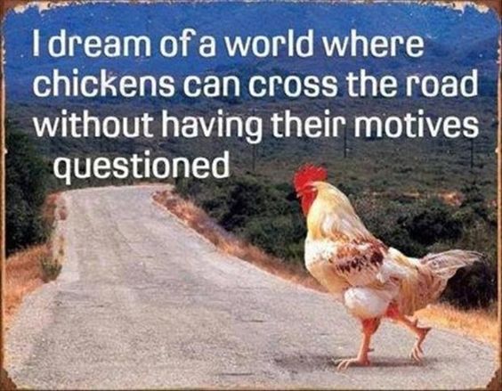 chicken cross the road - I dream of a world where chickens can cross the road without having their motives questioned