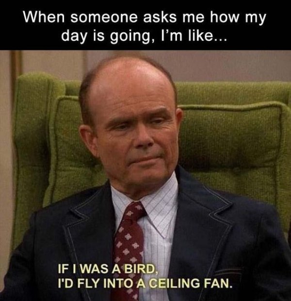work memes - too much work meme - When someone asks me how my day is going, I'm ... If I Was A Bird, I'D Fly Into A Ceiling Fan.