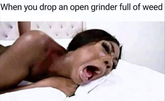 dirty-memes-head - When you drop an open grinder full of weed