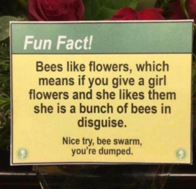 relationship-memes-sign - Fun Fact! Bees flowers, which means if you give a girl flowers and she them she is a bunch of bees in disguise. Nice try, bee swarm you're dumped.