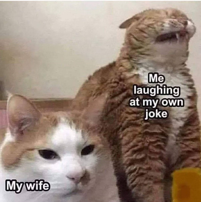 relationship-memes-funny memes clean - Me laughing at my own joke My wife