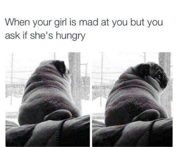 relationship-memes-pug memes - When your girl is mad at you but you ask if she's hungry