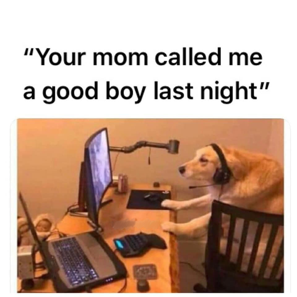 golden retriever gaming meme - your mom called me a good boy last night