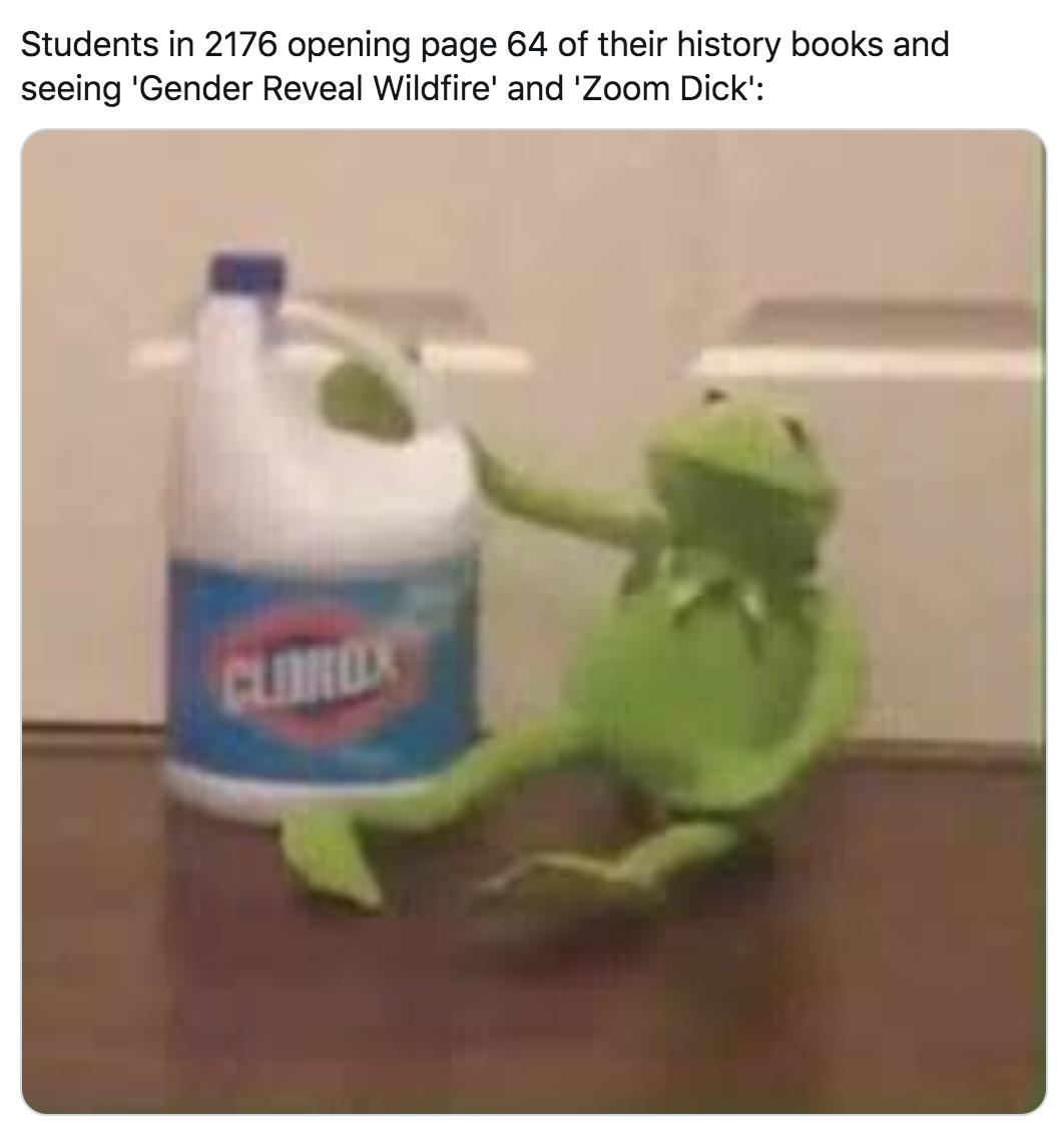dankest memes kermit meme face - Students in 2176 opening page 64 of their history books and seeing 'Gender Reveal Wildfire' and 'Zoom Dick' Clarda