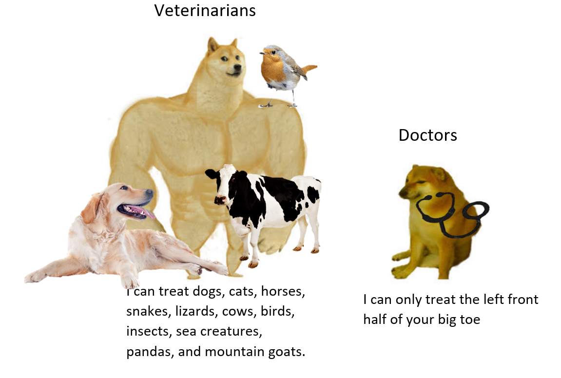 big doge small doge meme - Veterinarians Doctors I can treat dogs, cats, horses, snakes, lizards, cows, birds, insects, sea creatures, pandas, and mountain goats. I can only treat the left front half of your big toe