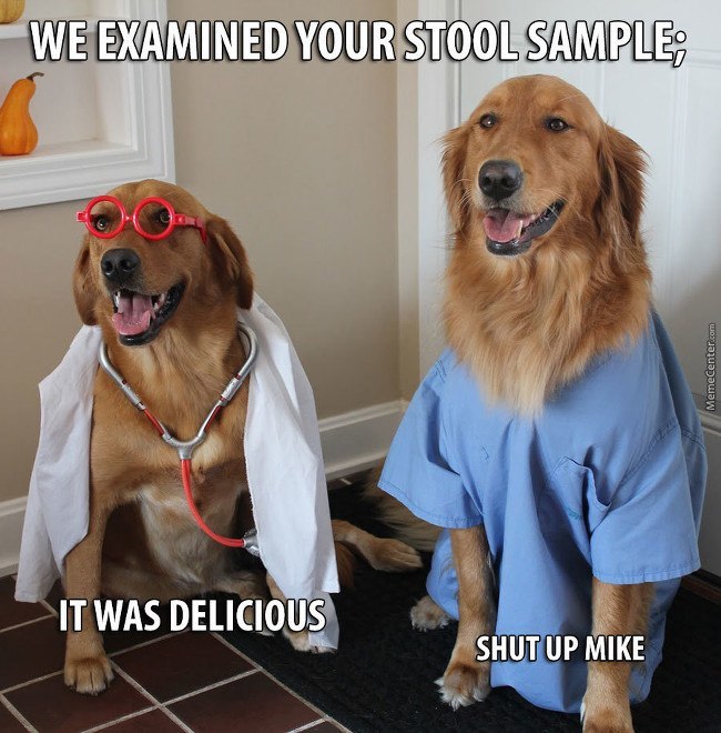 we examined your stool sample - We Examined Your Stool Sample; MemeCenter.com It Was Delicious Shut Up Mike