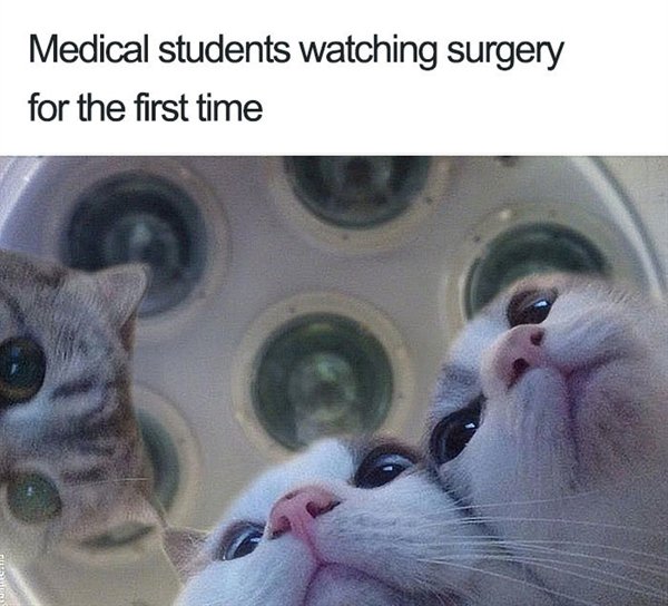 doctor memes - Medical students watching surgery for the first time