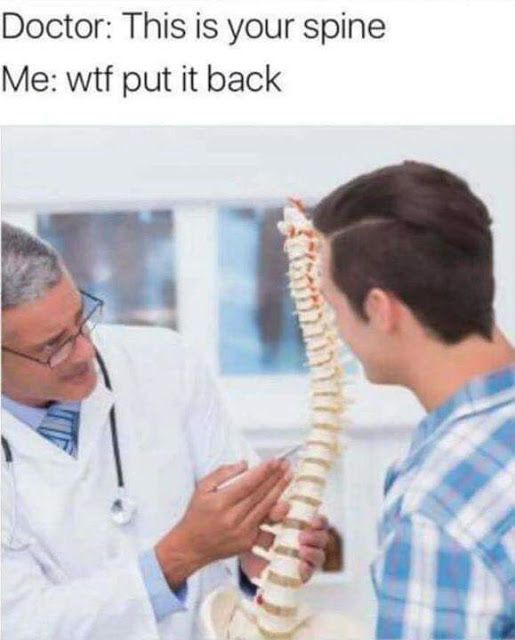 your spine wtf put it back - Doctor This is your spine Me wtf put it back