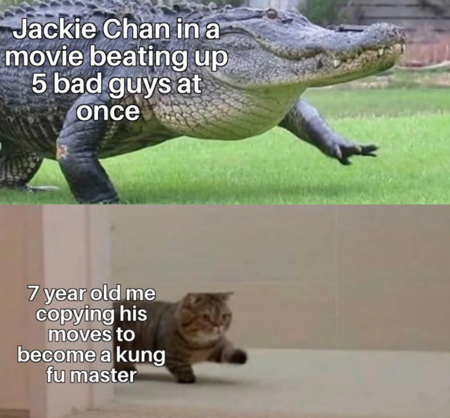 cat and crocodile same energy - Jackie Chan in a movie beating up 5 bad guys at once 7 year old me copying his moves to become a kung fu master