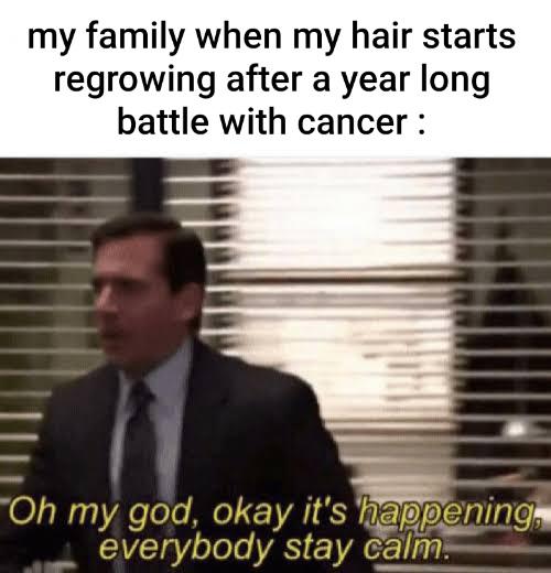 it's happening meme - my family when my hair starts regrowing after a year long battle with cancer Oh my god, okay it's happening, everybody stay calm.