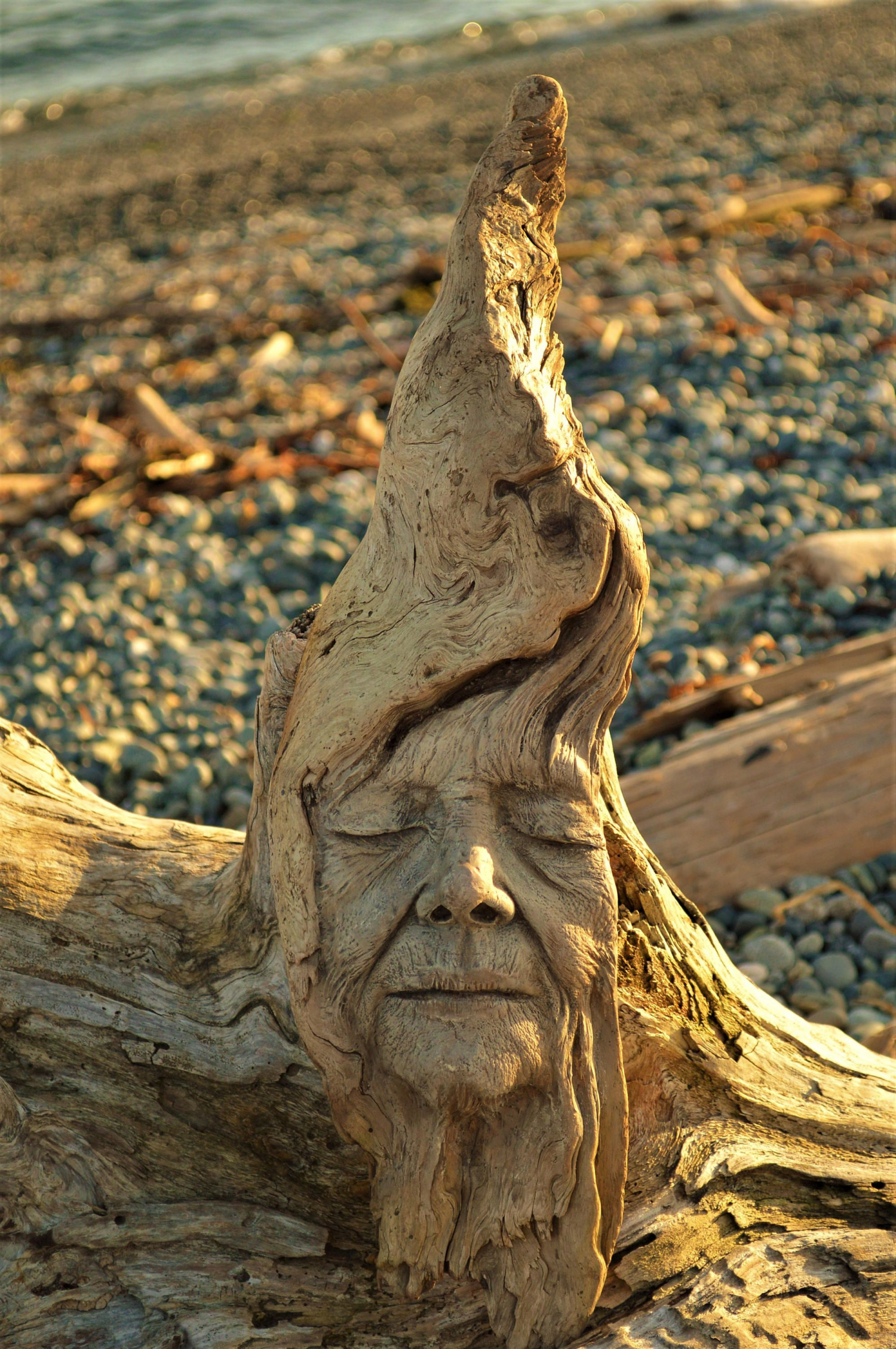 funny random pics - driftwood sculpture