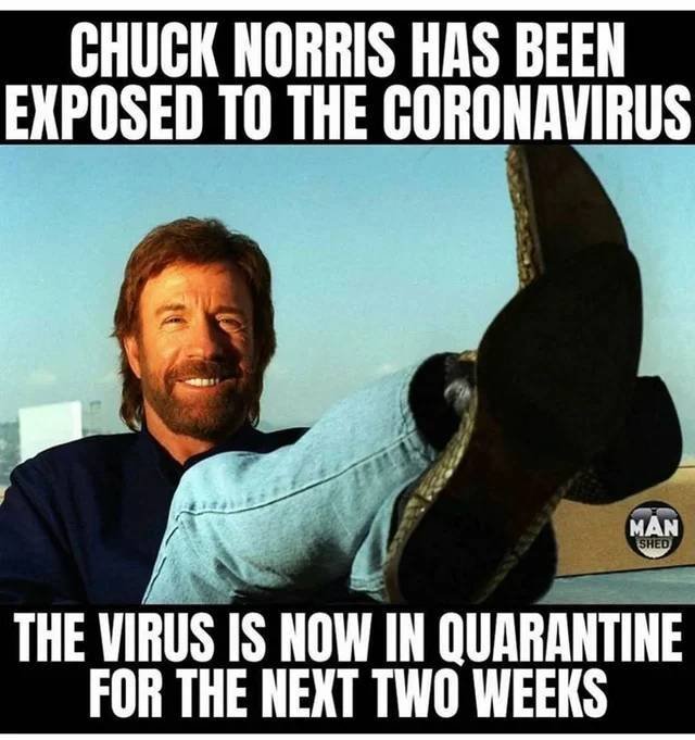 funny random pics - chuck norris covid meme - Chuck Norris Has Been Exposed To The Coronavirus Man Shed The Virus Is Now In Quarantine For The Next Two Weeks