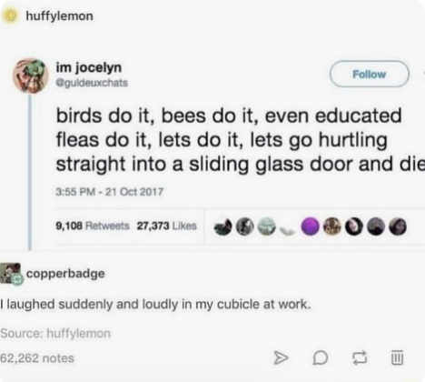 dark-memes-Internet meme - huffylemon im jocelyn birds do it, bees do it, even educated fleas do it, lets do it, lets go hurtling straight into a sliding glass door and die 9,108 27,373 copperbadge I laughed suddenly and loudly in my cubicle at work. Sour