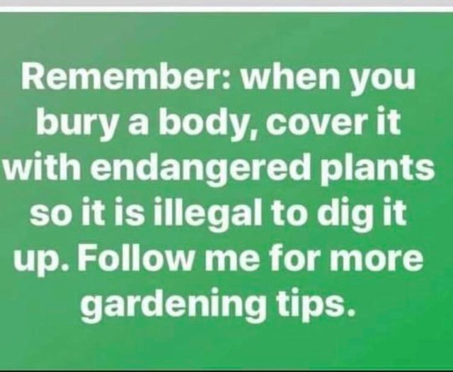 dark-memes-handwriting - Remember when you bury a body, cover it with endangered plants so it is illegal to dig it up. me for more gardening tips.