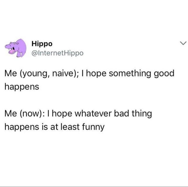 dark-memes-document - Hippo Hippo Me young, naive; I hope something good happens Me now I hope whatever bad thing happens is at least funny