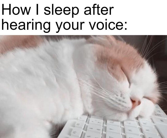 relationship-memes-aesthetic cat - How I sleep after hearing your voice