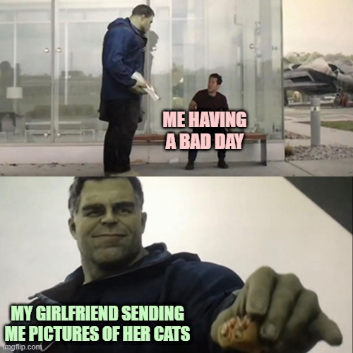 relationship-memes-hulk meme template - Me Having A Bad Day My Girlfriend Sending Me Pictures Of Her Cats mgflip.com