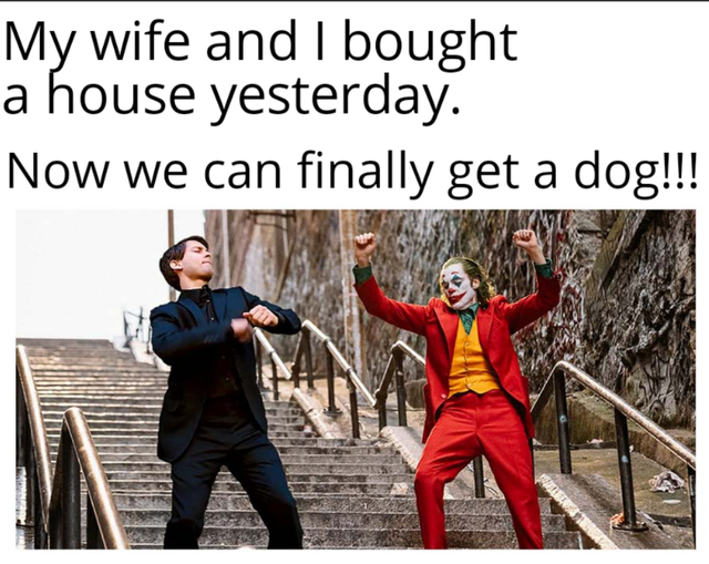 relationship-memes-corona holiday meme - My wife and I bought a house yesterday. Now we can finally get a dog!!!