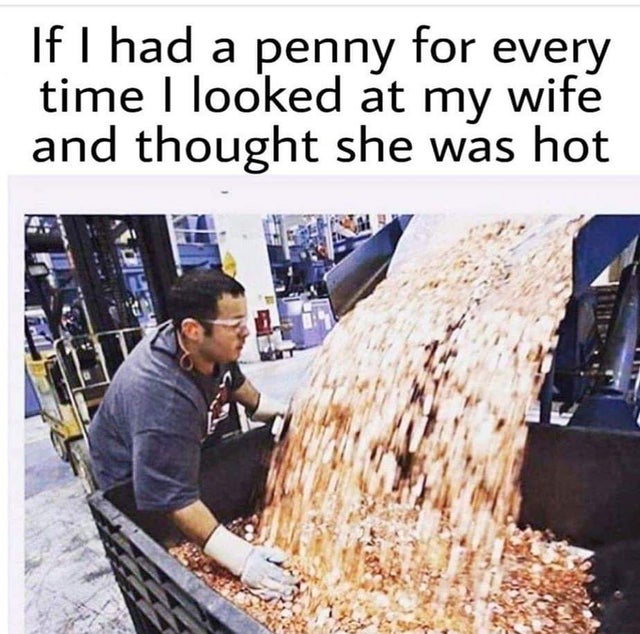 relationship-memes-if i had a penny every time - If I had a penny for every time I looked at my wife and thought she was hot