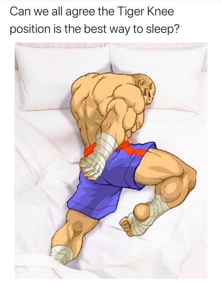 funny video game memes - Can we all agree the Tiger Knee position is the best way to sleep?