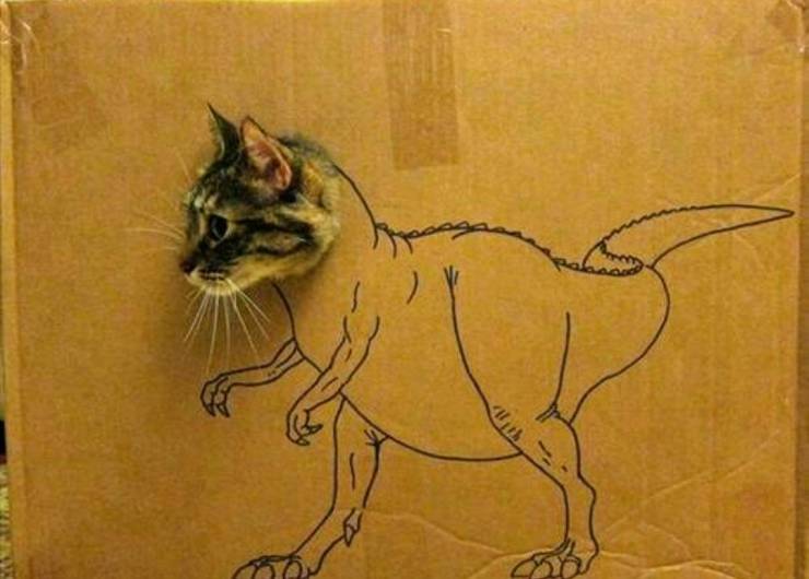 random pics - cat dinosaur cardboard