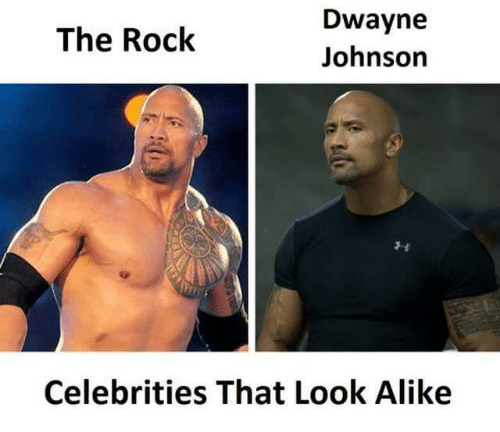 rock and dwayne johnson meme - The Rock Dwayne Johnson Celebrities That Look A