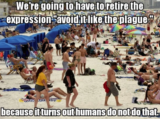 beach crowds - We're going to have to retire the expression "avoid it the plague because it turns out humans do not do that.