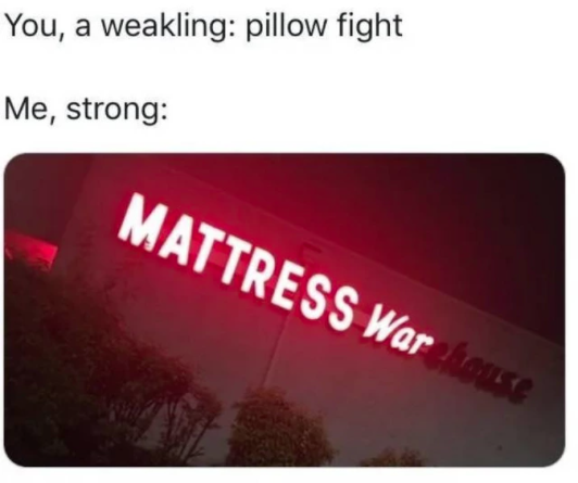 mattress war meme - You, a weakling pillow fight Me, strong Mattress Warhouse