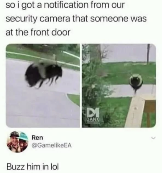 buzz him in meme - so i got a notification from our security camera that someone was at the front door D Dank Ren Ea Buzz him in lol