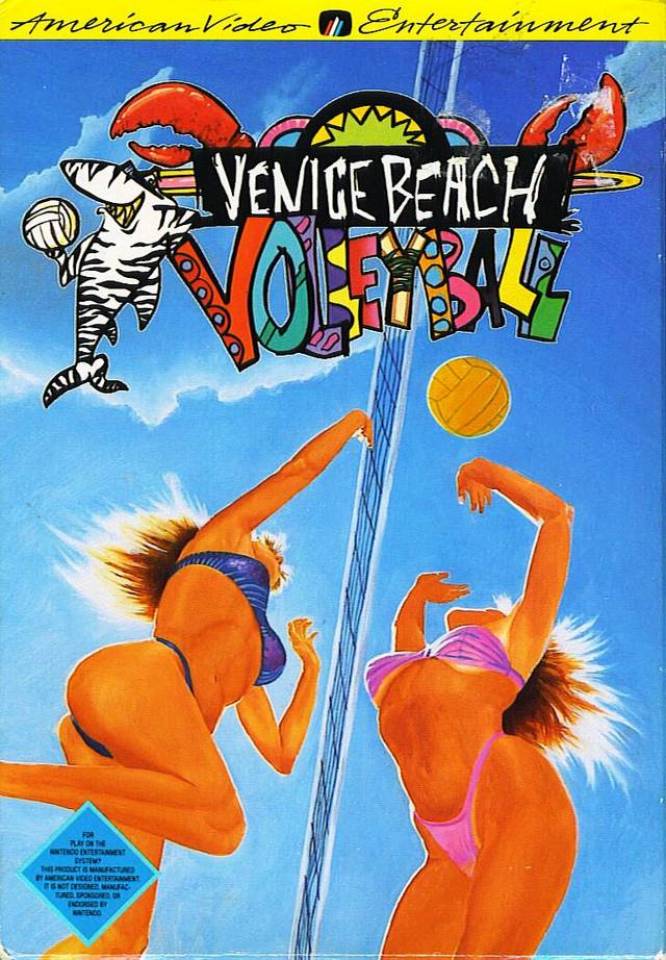 Venice Beach Volleyball 
