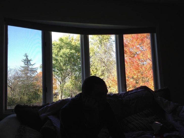 “This window makes the backyard look like it’s in 4 different seasons.”