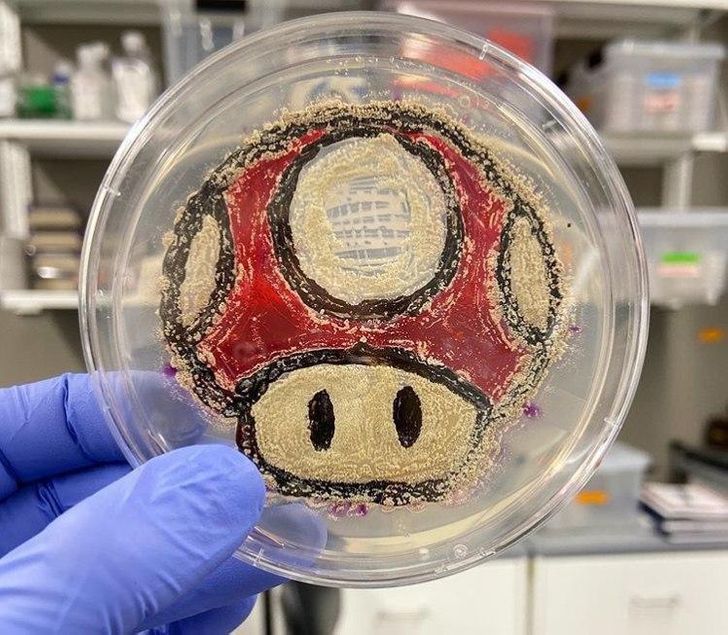 toad from super mario made from yeast and bacteria