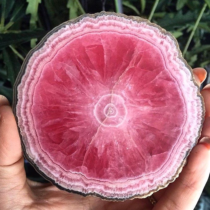 close up  of a A rare stone called a ’’Grapefruit’’ due to its fruity appearance