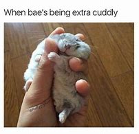 relationship-memes-funny love memes - When bae's being extra cuddly