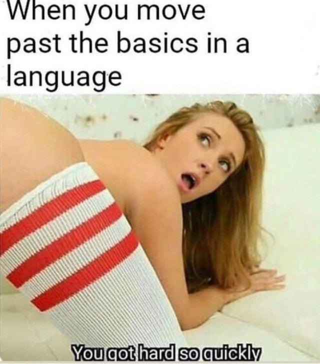 dirty-memes-you move past the basics - When you move past the basics in a language You got hard so quickly