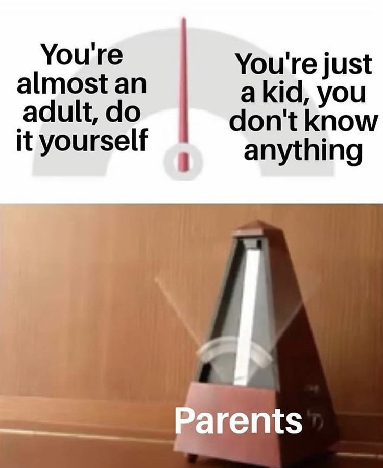 funny memes - pendulum being indecisive - You're almost an adult, do it yourself You're just a kid, you don't know anything Parents