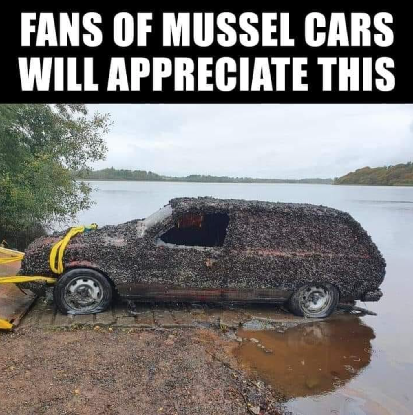 off roading - Fans Of Mussel Cars Will Appreciate This