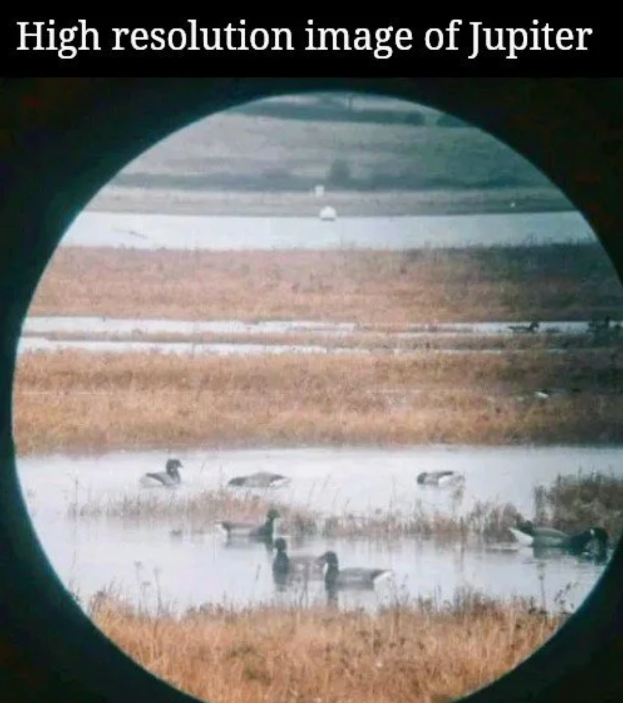 High resolution image of Jupiter