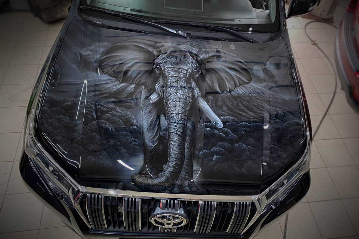 funny airbrushed cars -- elephant