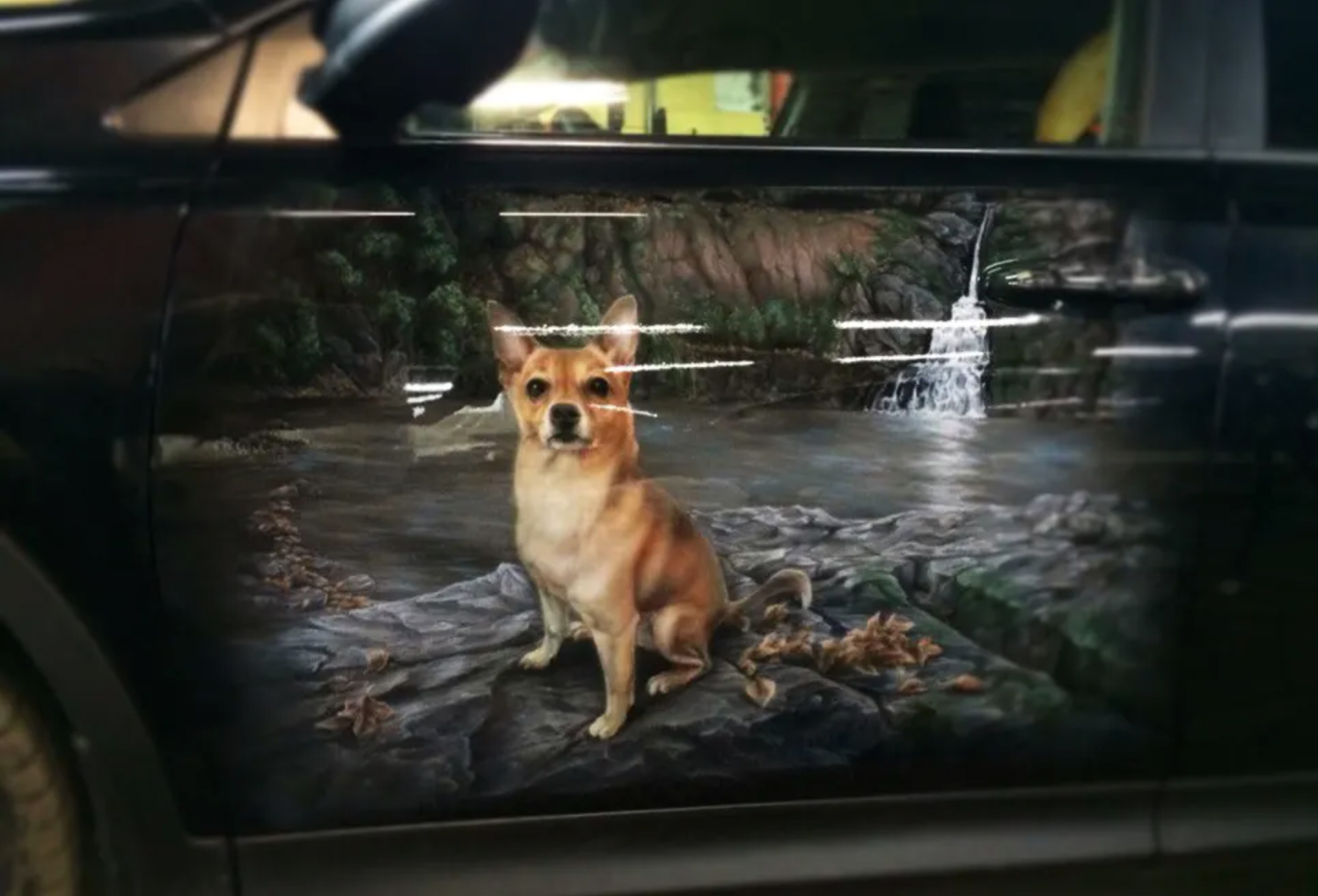 funny airbrushed cars - dog