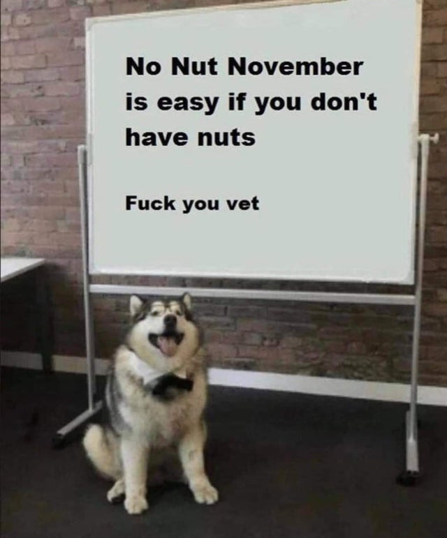 dark-memes-dog whiteboard meme template - No Nut November is easy if you don't have nuts Fuck you vet