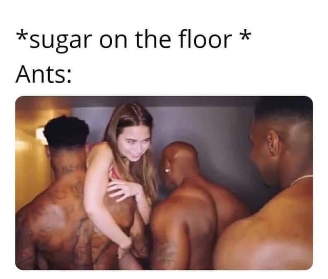 dirty-memes-muscle - sugar on the floor Ants